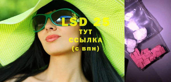 индика Покров