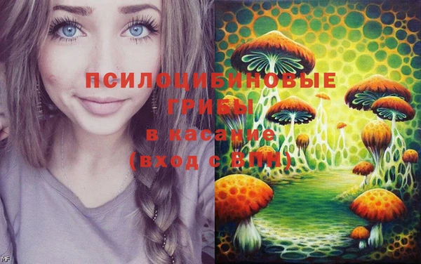 метамфетамин Богданович