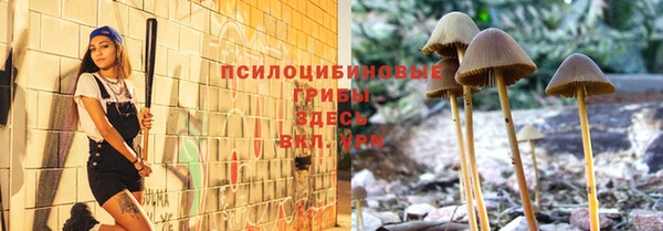 ПСИЛОЦИБИНОВЫЕ ГРИБЫ Пересвет