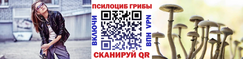 Псилоцибиновые грибы GOLDEN TEACHER Менделеевск