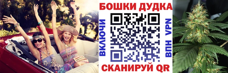 Каннабис сатива  продажа наркотиков  Менделеевск 